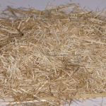 Dual Camera 20MP (Digital)