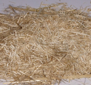 Dual Camera 20MP (Digital)