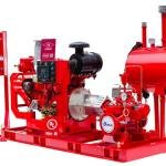 الأستاذة نورة العنزي